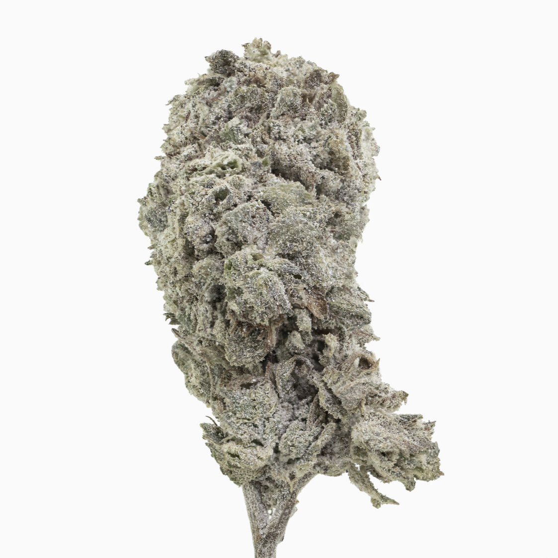 Amnesia Glasshouse 24% THCA