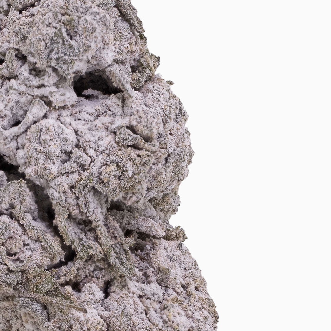 Critical Mass 20% THCA