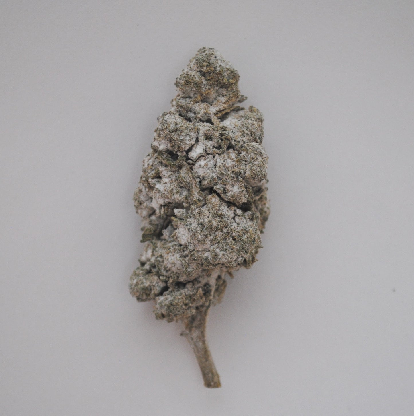 Critical Mass 20% THCA