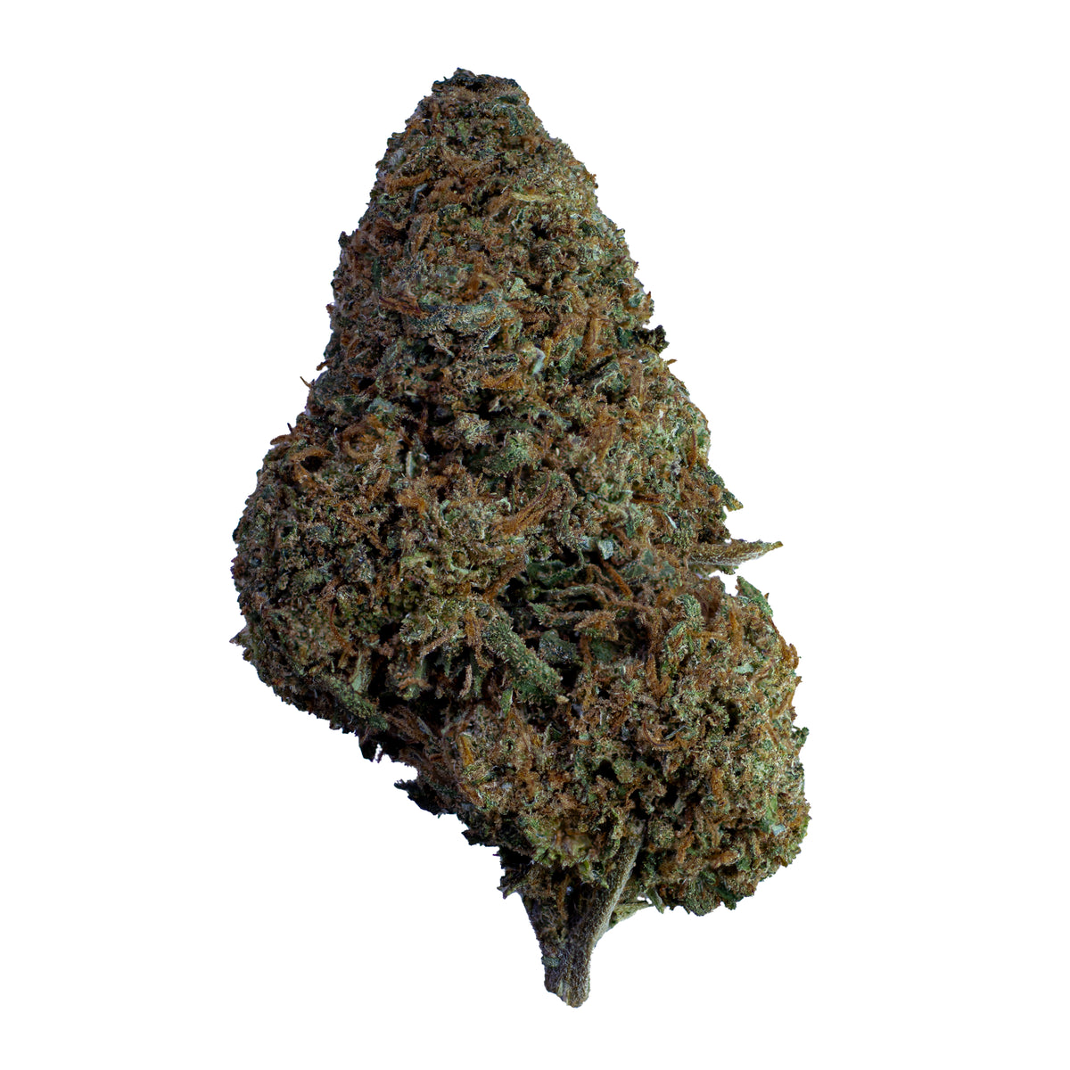 Master Kush CBD