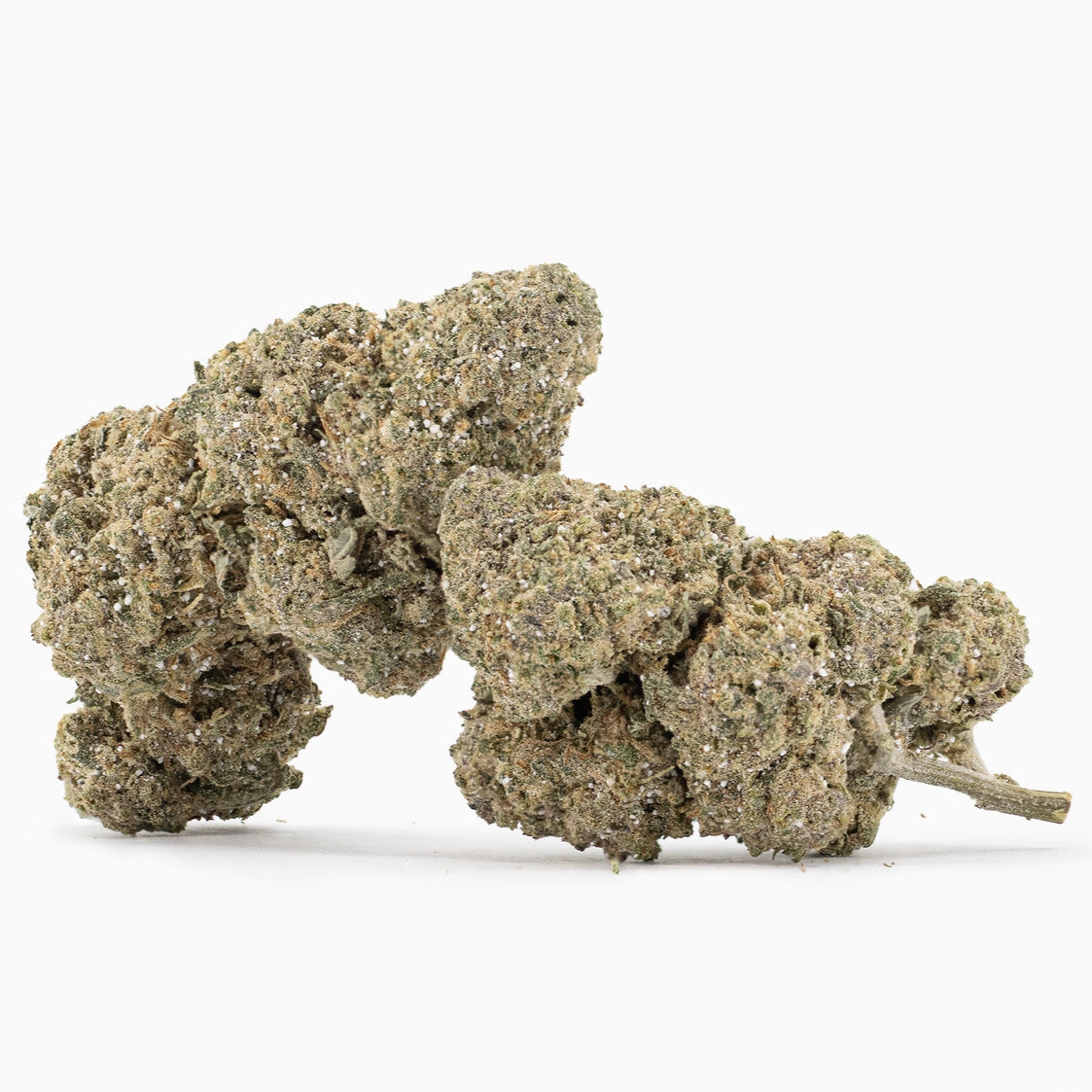 Sapphire 23% THCA