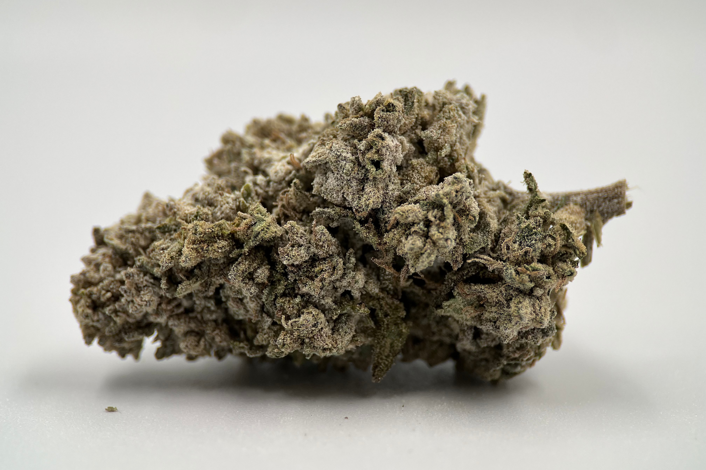 Bangkok Sativa 21% THCA