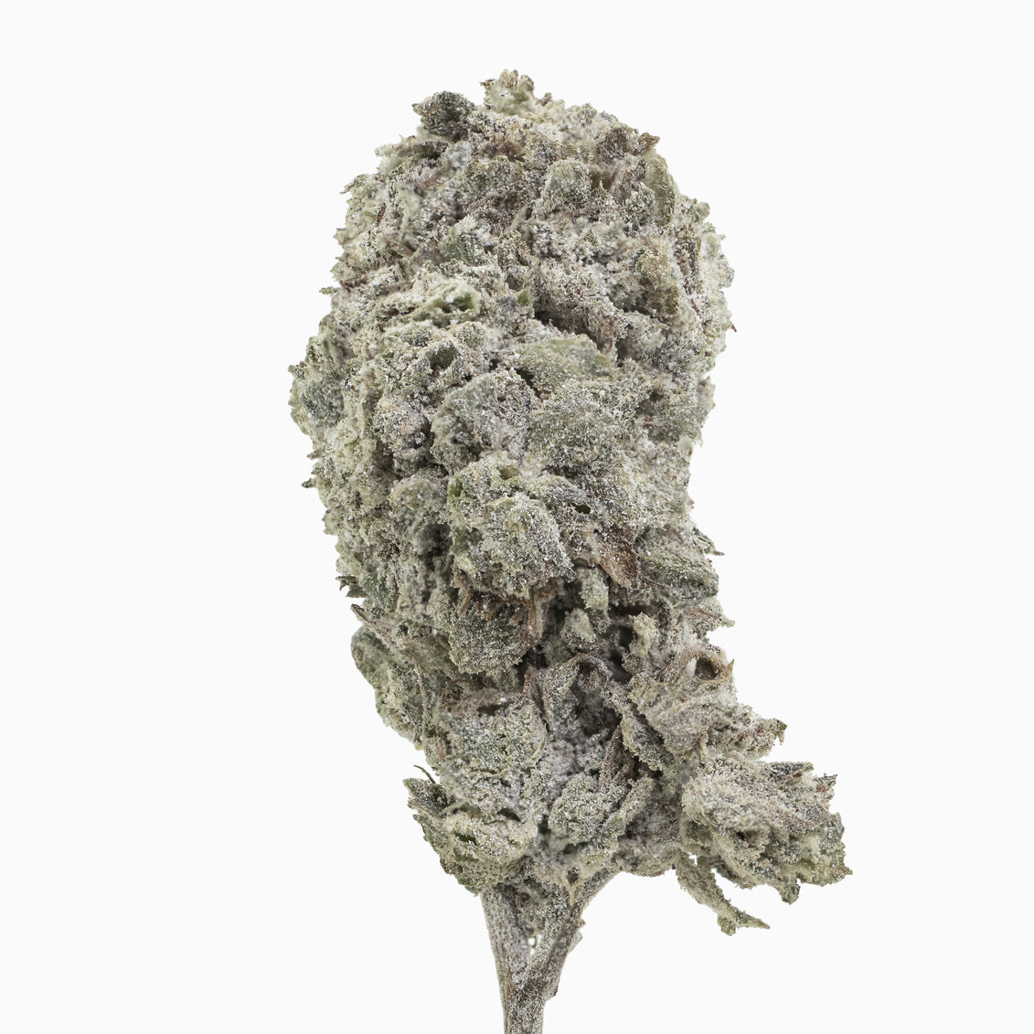 Amnesia Glasshouse 24% THCA
