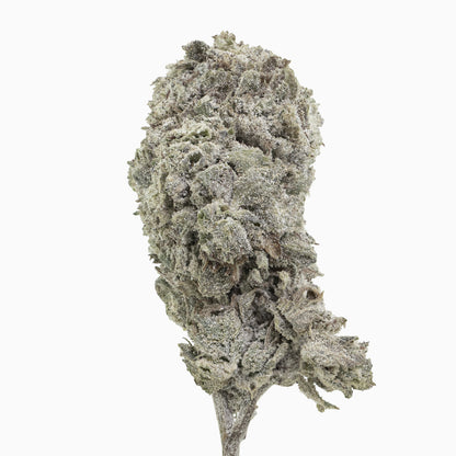 Amnesia Glasshouse 24% THCA