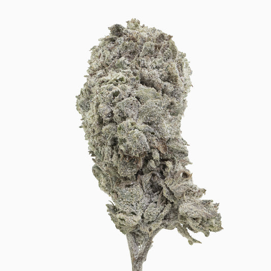 Amnesia Glasshouse 24% THCA