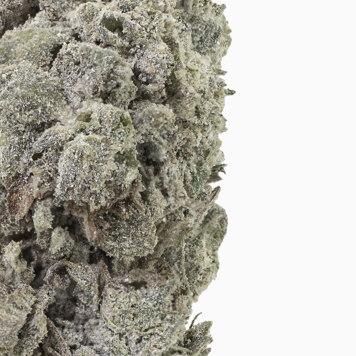 Amnesia Glasshouse 24% THCA