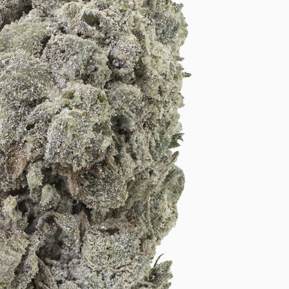 Amnesia Glasshouse 24% THCA