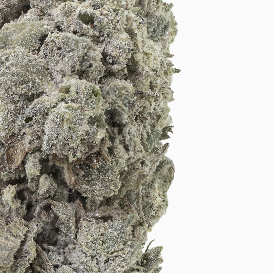 Amnesia Glasshouse 24% THCA