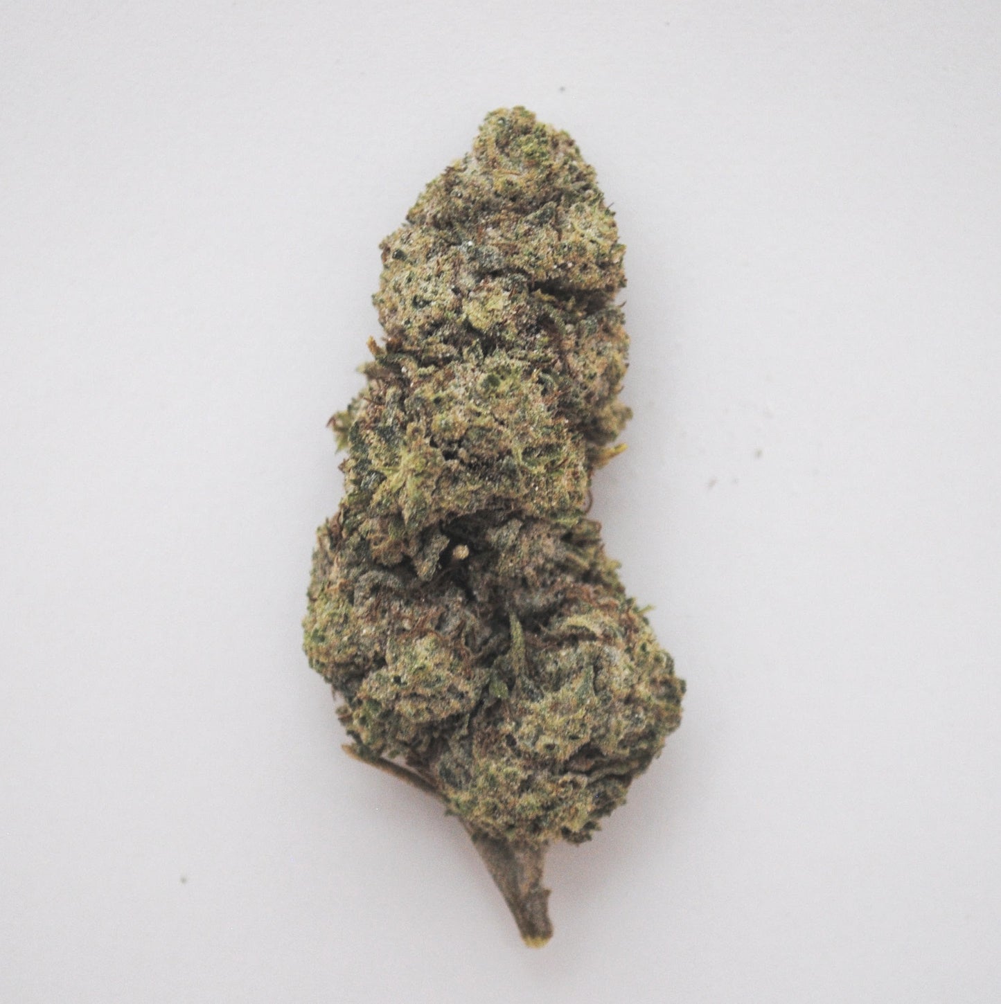 Amnesia Glasshouse 24% THCA