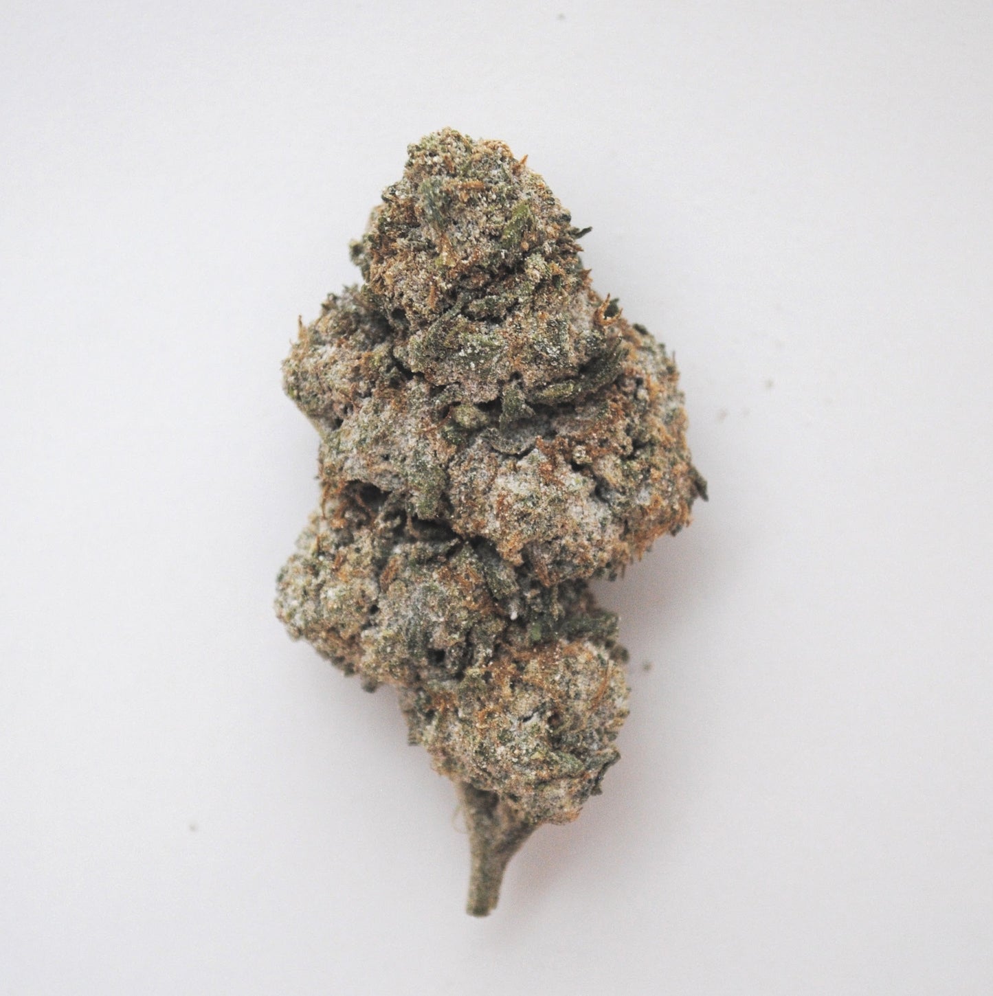 Bangkok Sativa 21% THCA