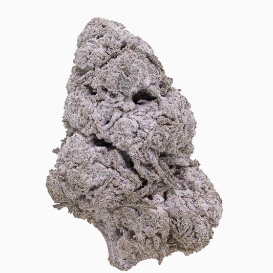 Critical Mass 20% THCA