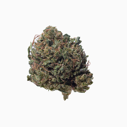 Lemon Cherry Small CBD