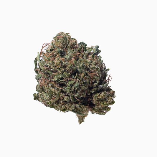 Lemon Cherry Small CBD