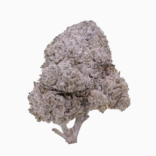 O.G Kush 24% THCA