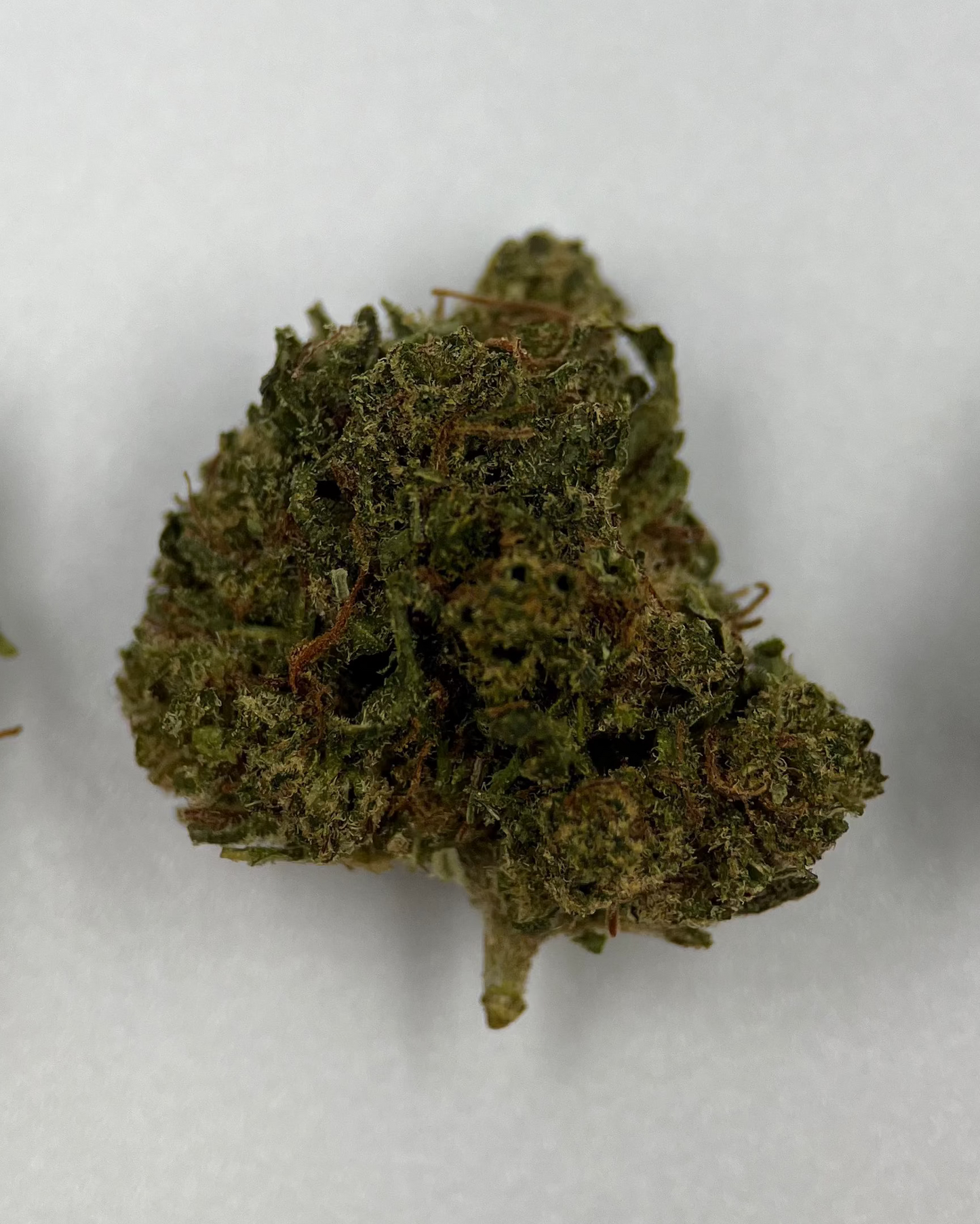Lemon Cherry 10% CBD
