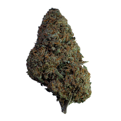 Master Kush CBD