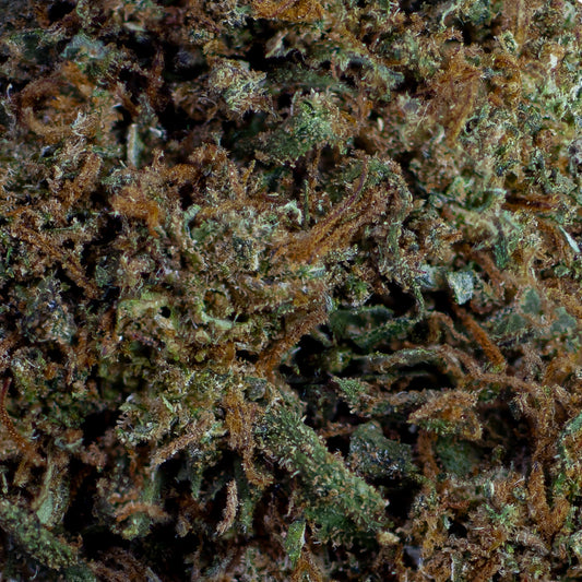 Master Kush CBD
