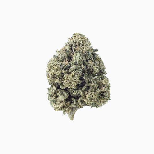 Orange Bud CBD