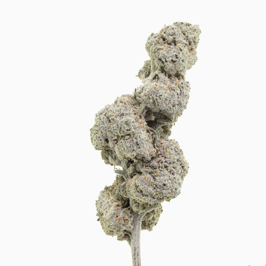 Super Lemon 16% THCA