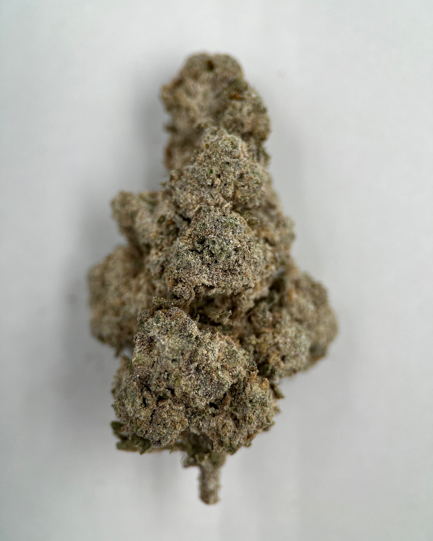 Amnesia 24% THCA