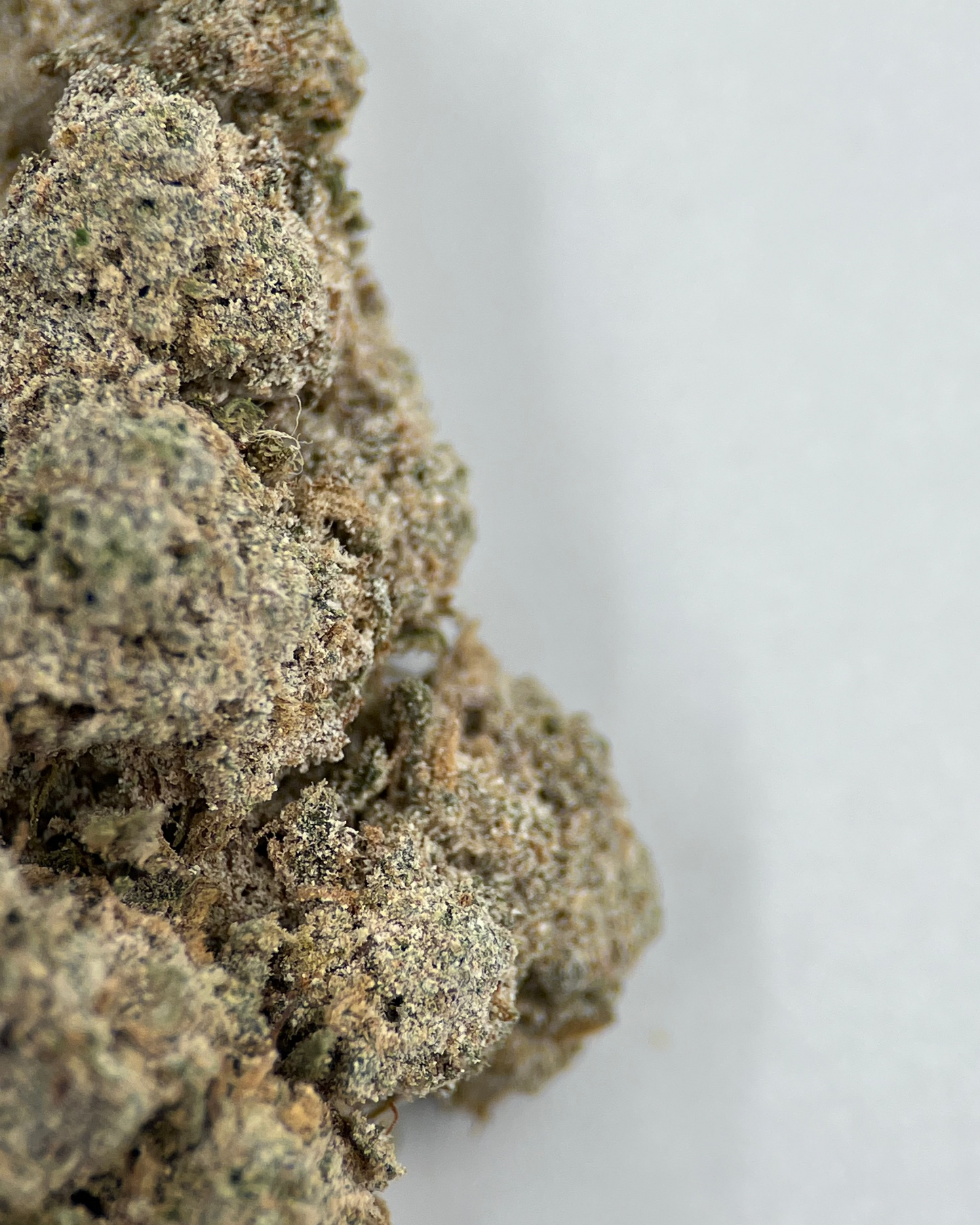Amnesia 24% THCA