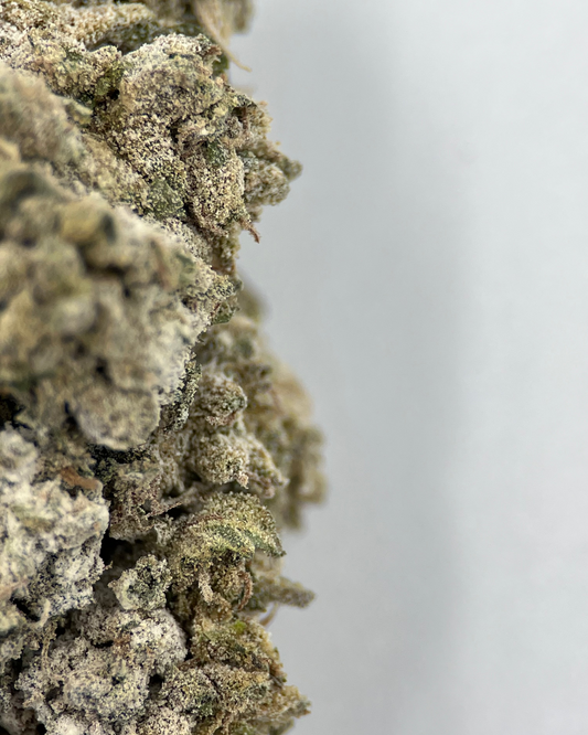 Bangkok Sativa 21% THCA