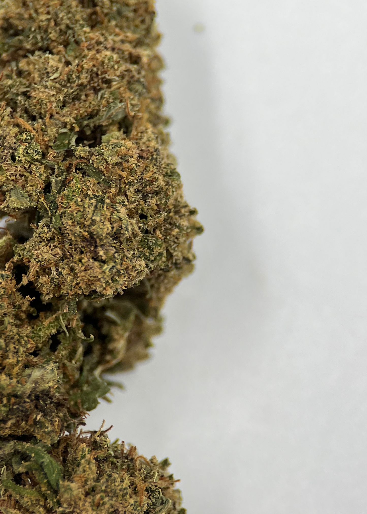 Berry AND CBD