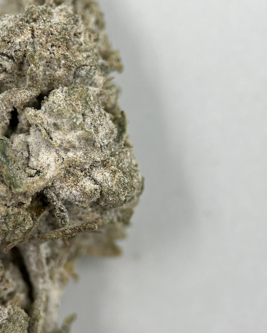 Critical Mass 20% THCA