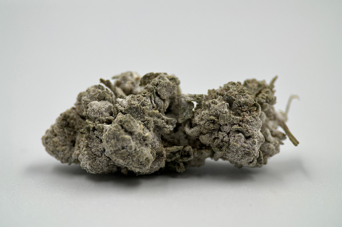 Critical Mass 20% THCA