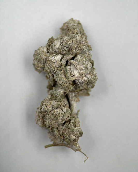 Critical Mass 20% THCA