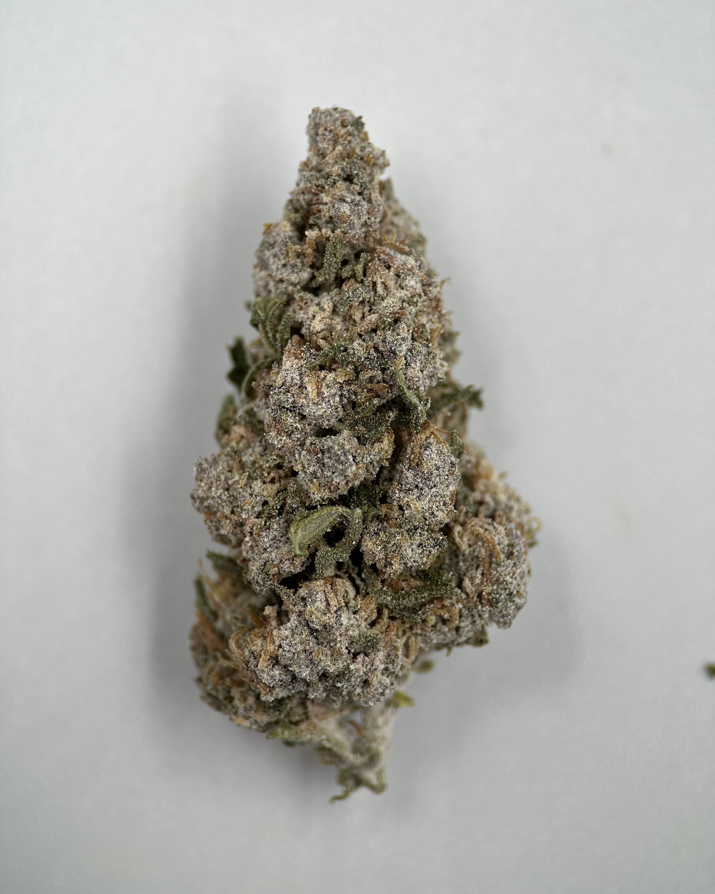 Pussy Kat 22% THCA