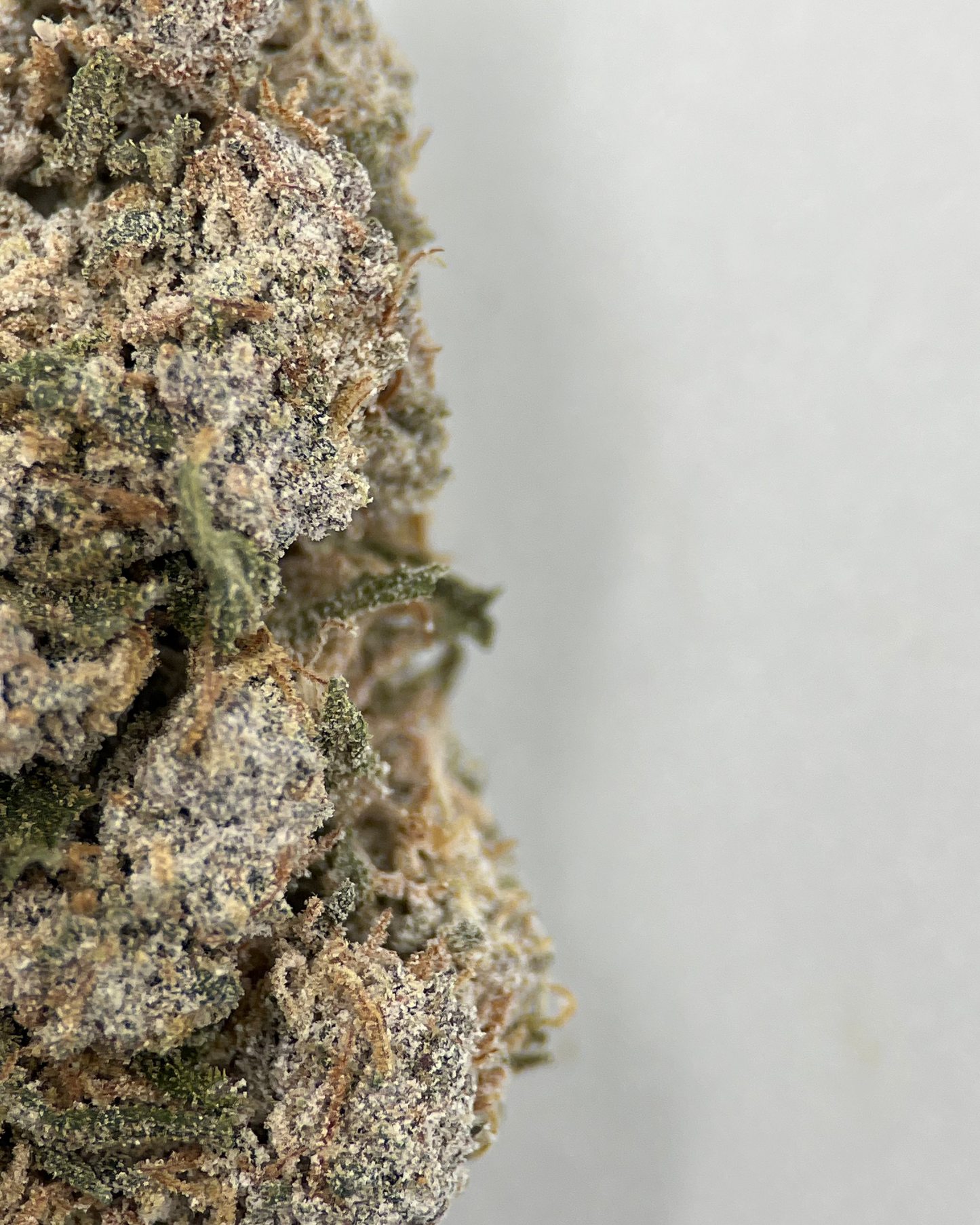 Pussy Kat 22% THCA