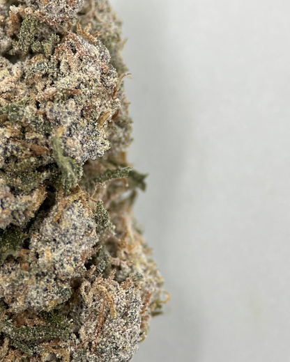 Pussy Kat 22% THCA
