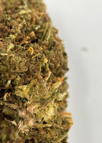 Master Kush 9% CBD