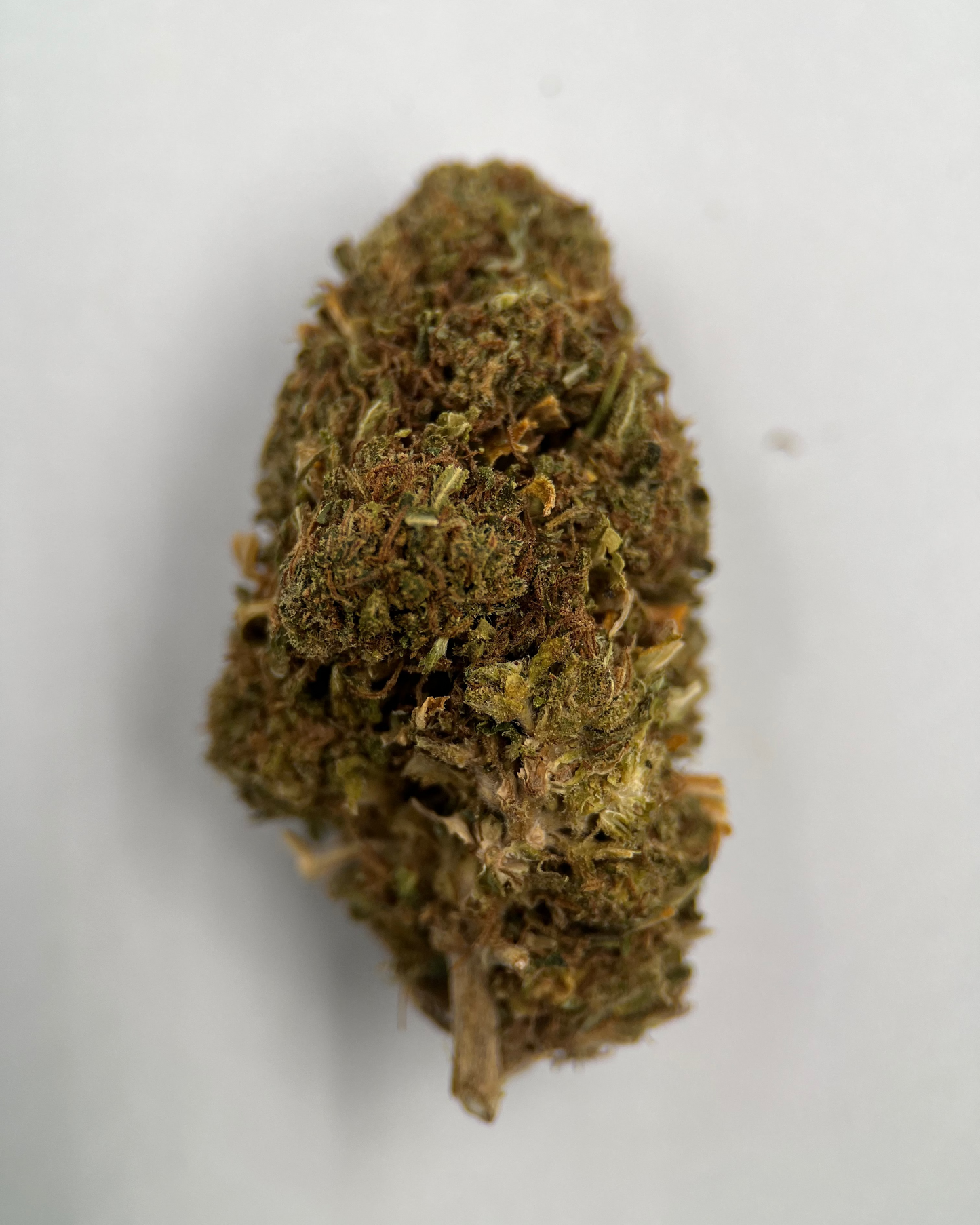 Master Kush 9% CBD