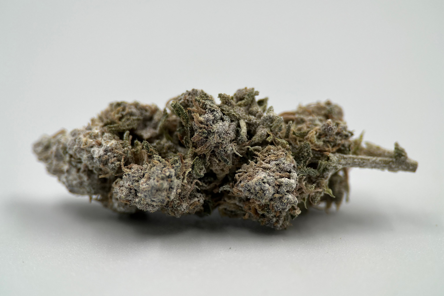 O.G Kush 24% THCA