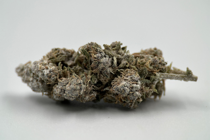 O.G Kush 24% THCA