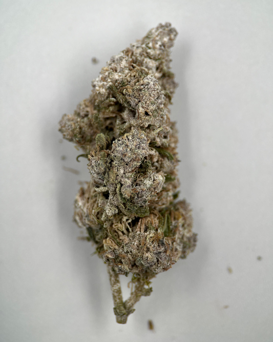 O.G Kush 24% THCA