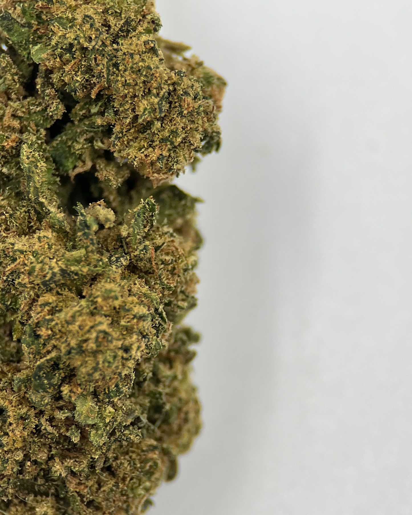 Orange Bud 14% CBD