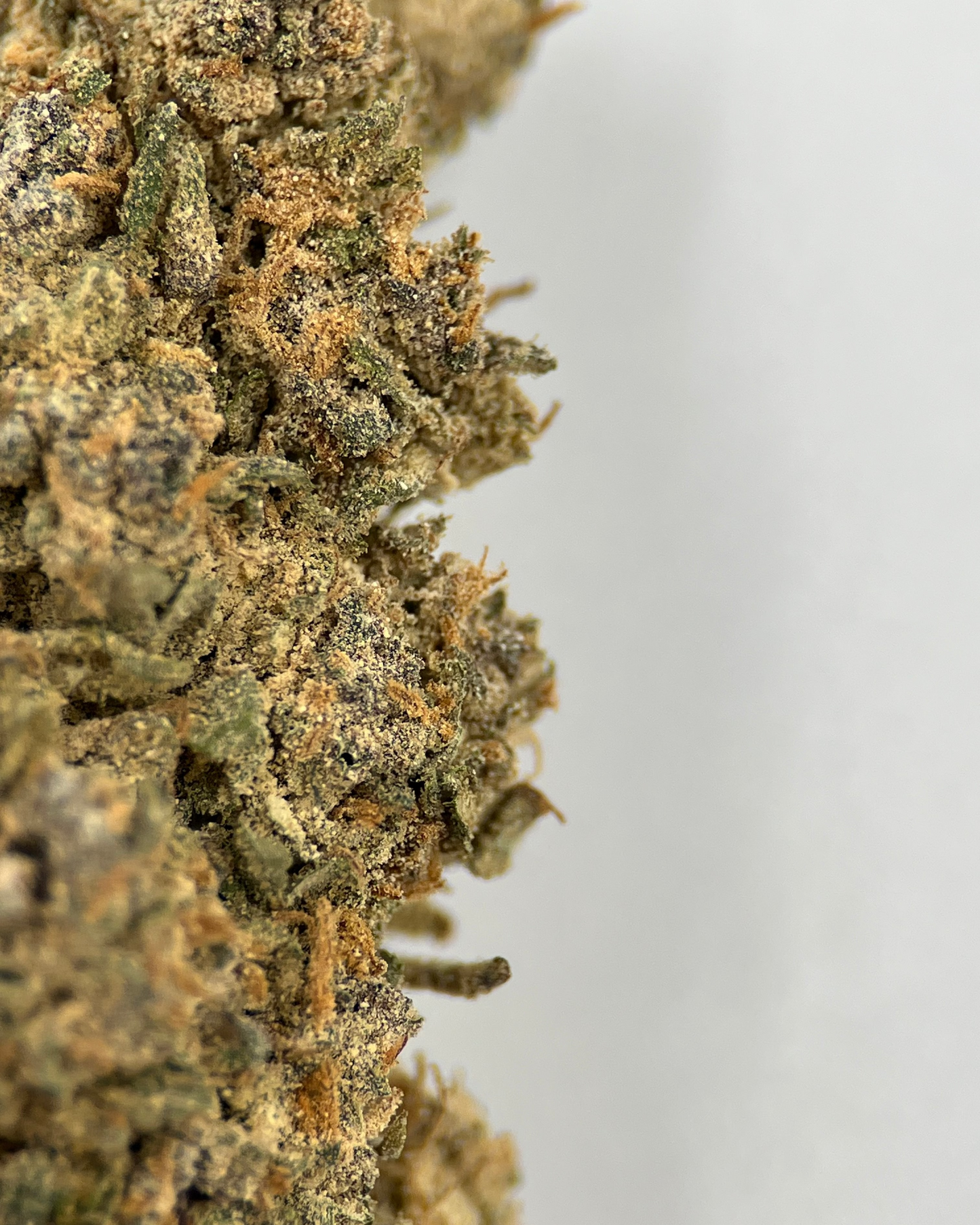 Pink Panther 23% THCA