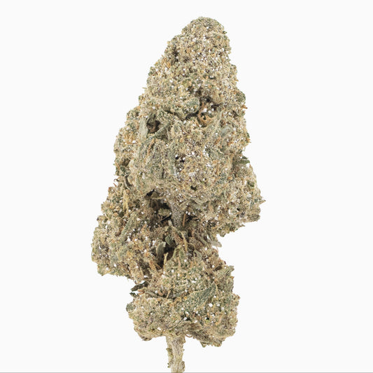 Sapphire 23% THCA
