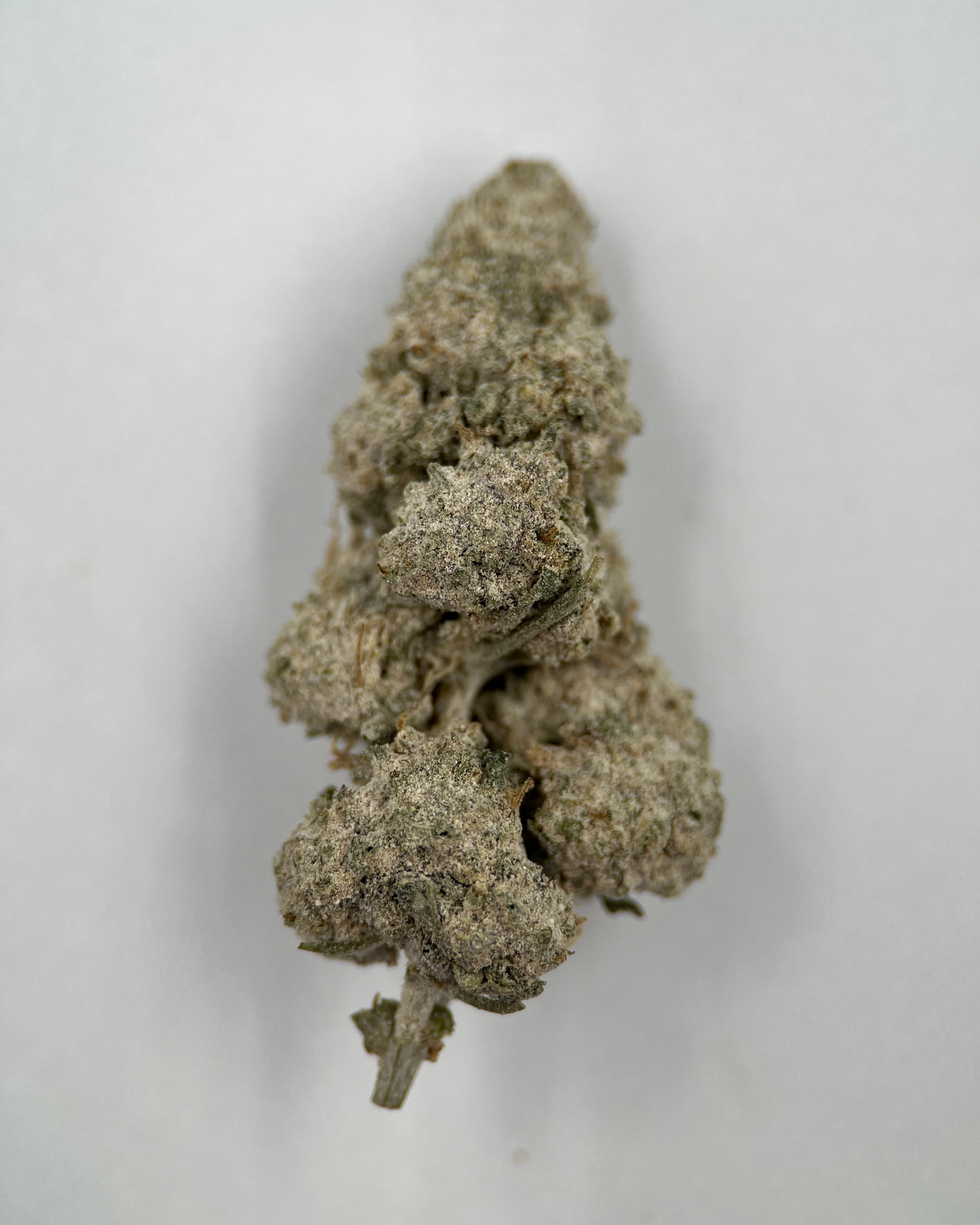 Sapphire 23% THCA