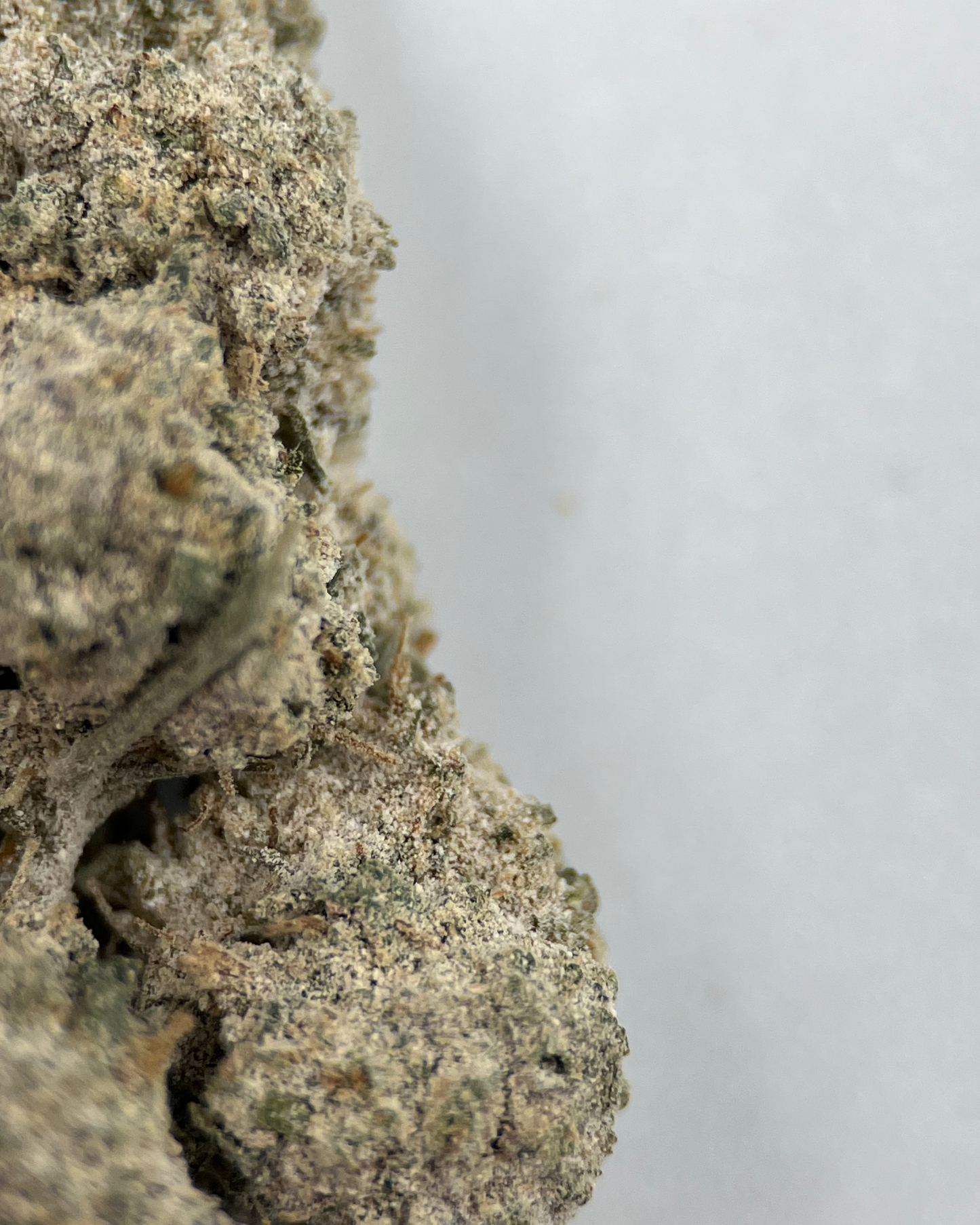 Sapphire 23% THCA