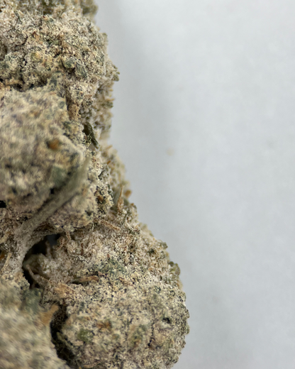 Sapphire 23% THCA