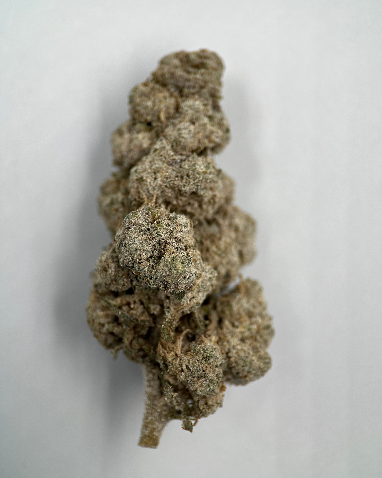 Strawberry Haze 6% THCA
